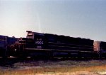 SBD 8905